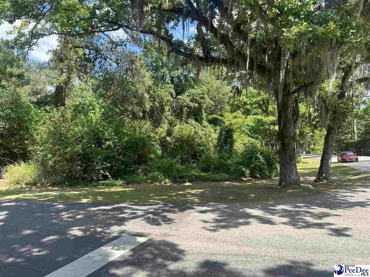 Lots & Land-Other in Florence - Florence, South Carolina, 295014530