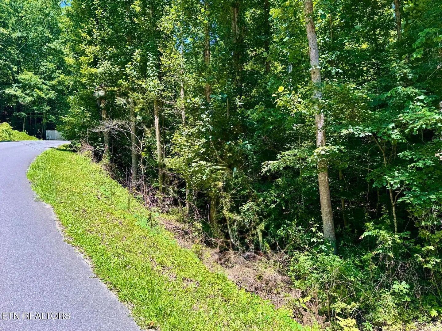 0.42 Acres of Land for Sale in Sevierville, TN - Sevierville, Tennessee, 37876
