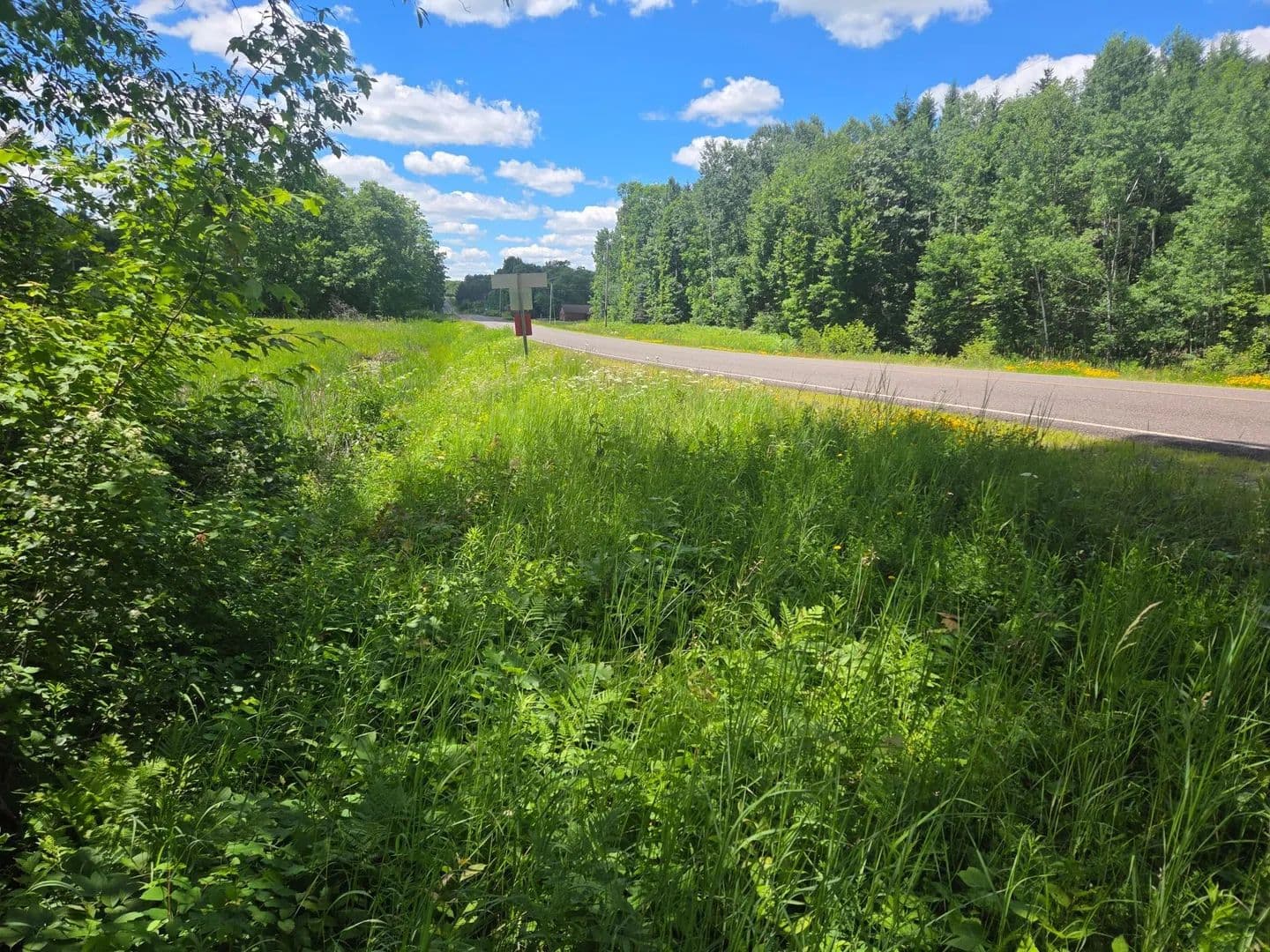 5.03 Acres of Land for Sale in Comstock, WI - Comstock, Wisconsin, 54826