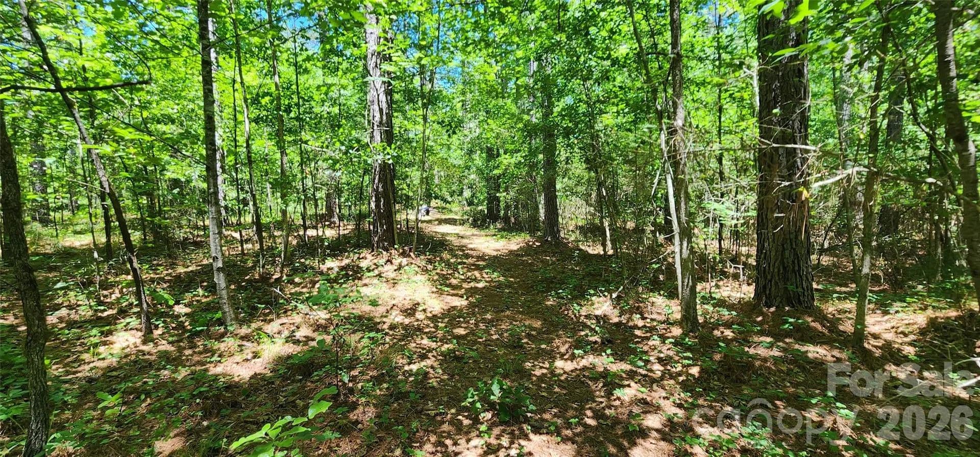 2 Acres of Land for Sale in Mill Spring, North Carolina - Mill Spring, North Carolina, 28782