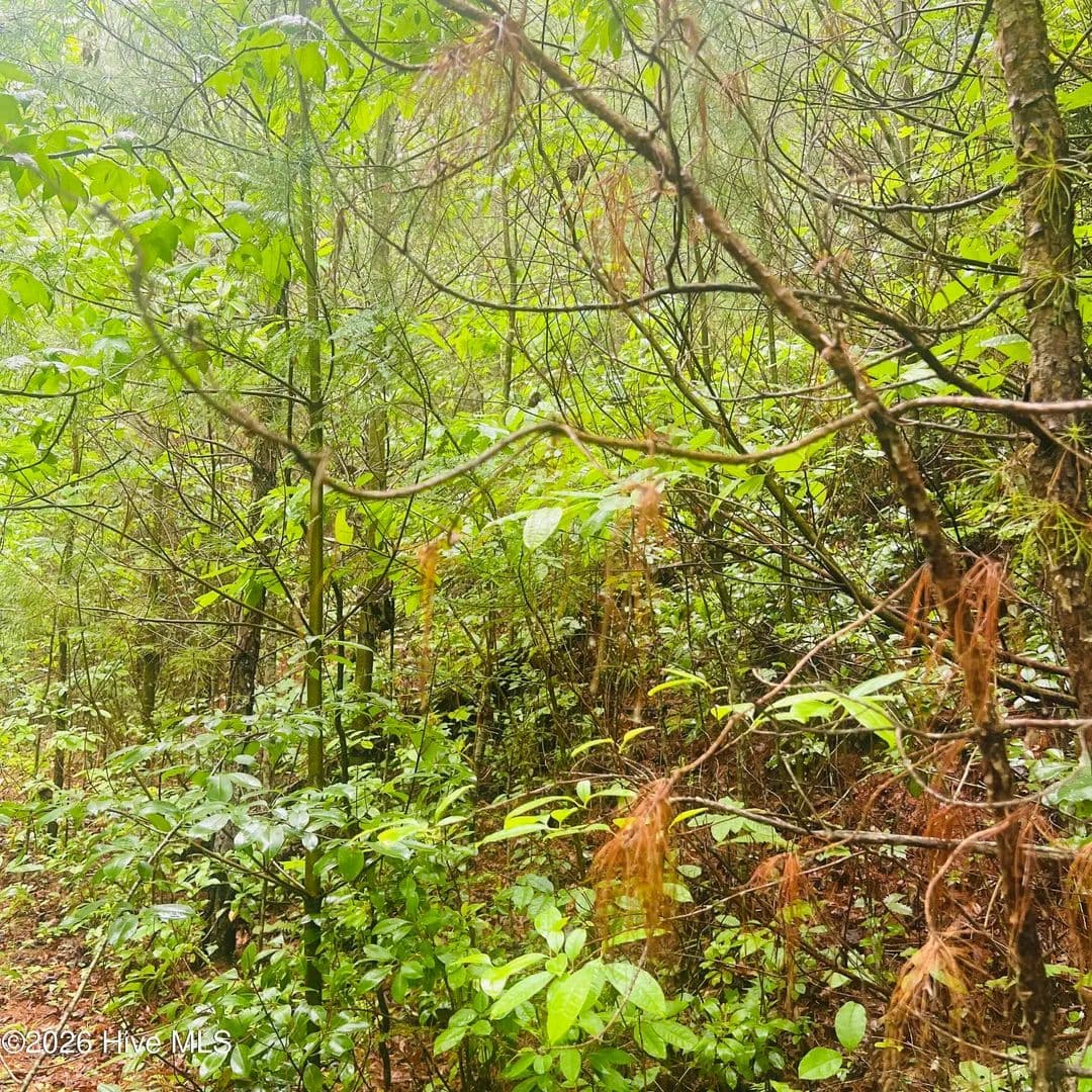 Property from Lot 20 Owl Bluff - KW - Murphy, North Carolina, 28906