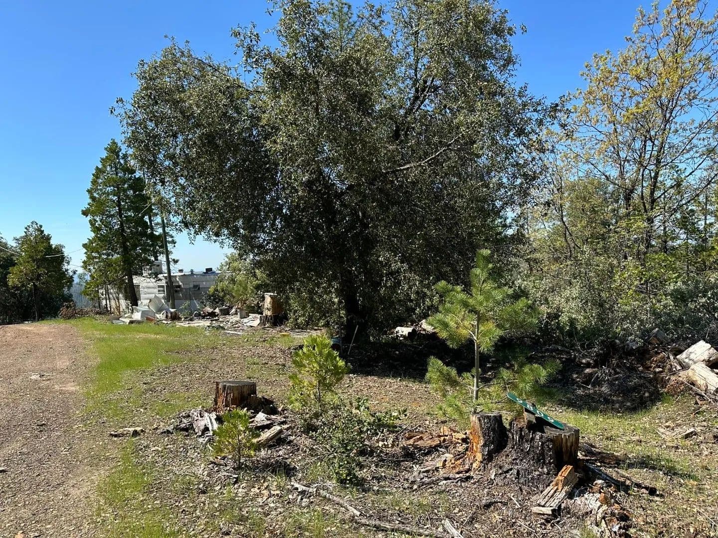 Property from 9809 Wildrose Lane - KW - Coulterville, California, 95311