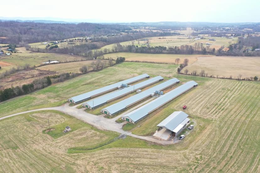 Phillips Town Broiler Farm