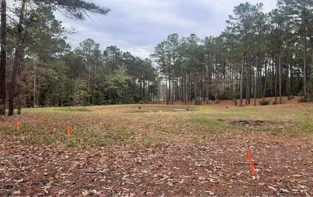 Lots & Land-Other in Brookeland - Brookeland, Texas, 75931