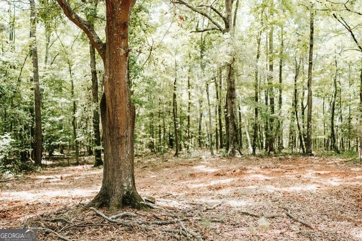 Property from 2605 Union Point Road - KW - Union Point, Georgia, 30669
