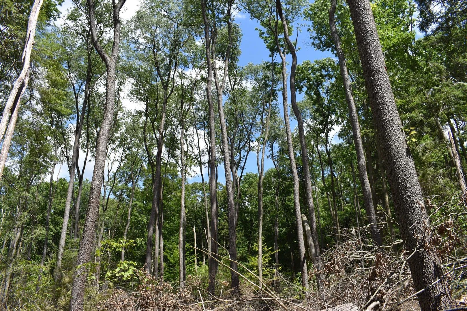 Thompson Creek - Titusville, Pennsylvania, 16354
