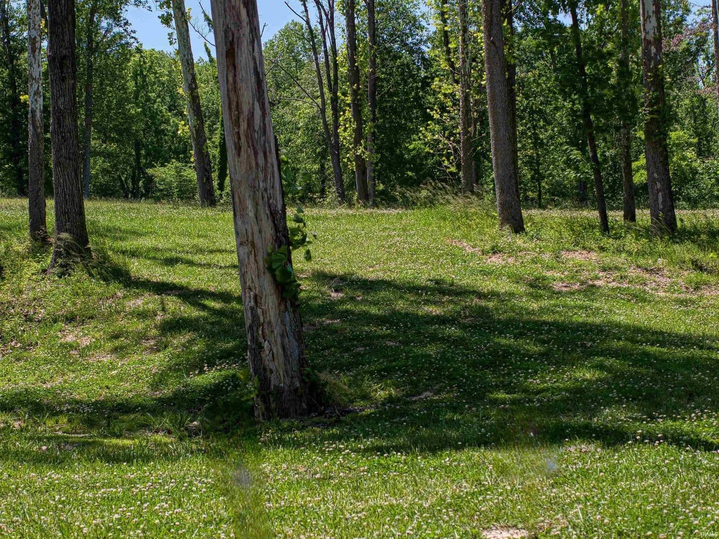 1.22 Acres of Land for Sale in Victoria Woods, Indiana - Victoria Woods, Indiana, 47601
