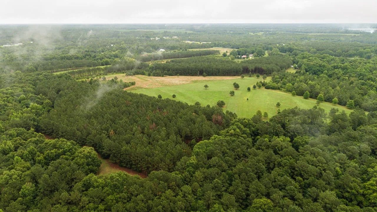 75.43 Acres in Sumter County, GA - Americus, Georgia, 31719