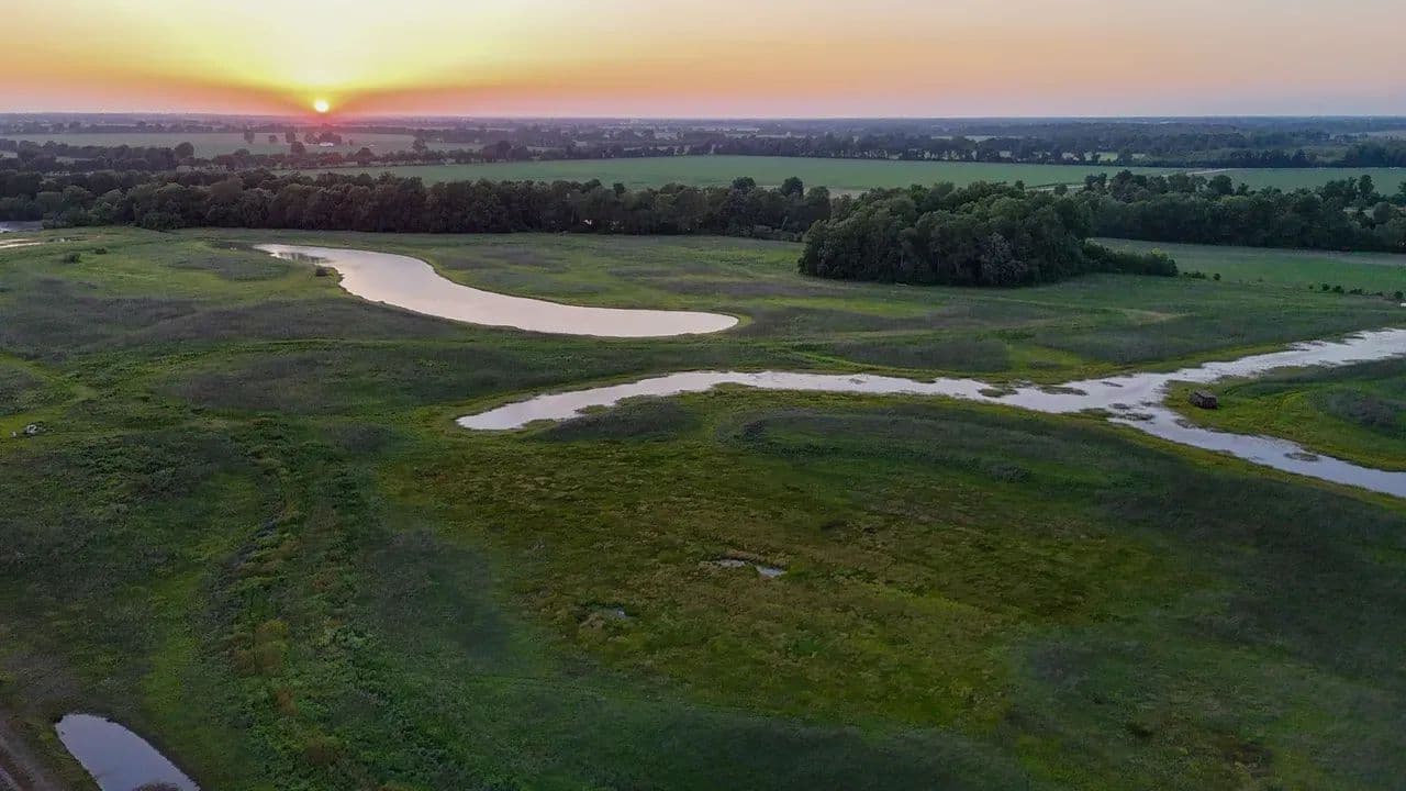 Turn-Key Waterfowl Tract: 83.17+/- Acres in the Heart of the Mississippi Flyway - New Madrid, Missouri, 63869