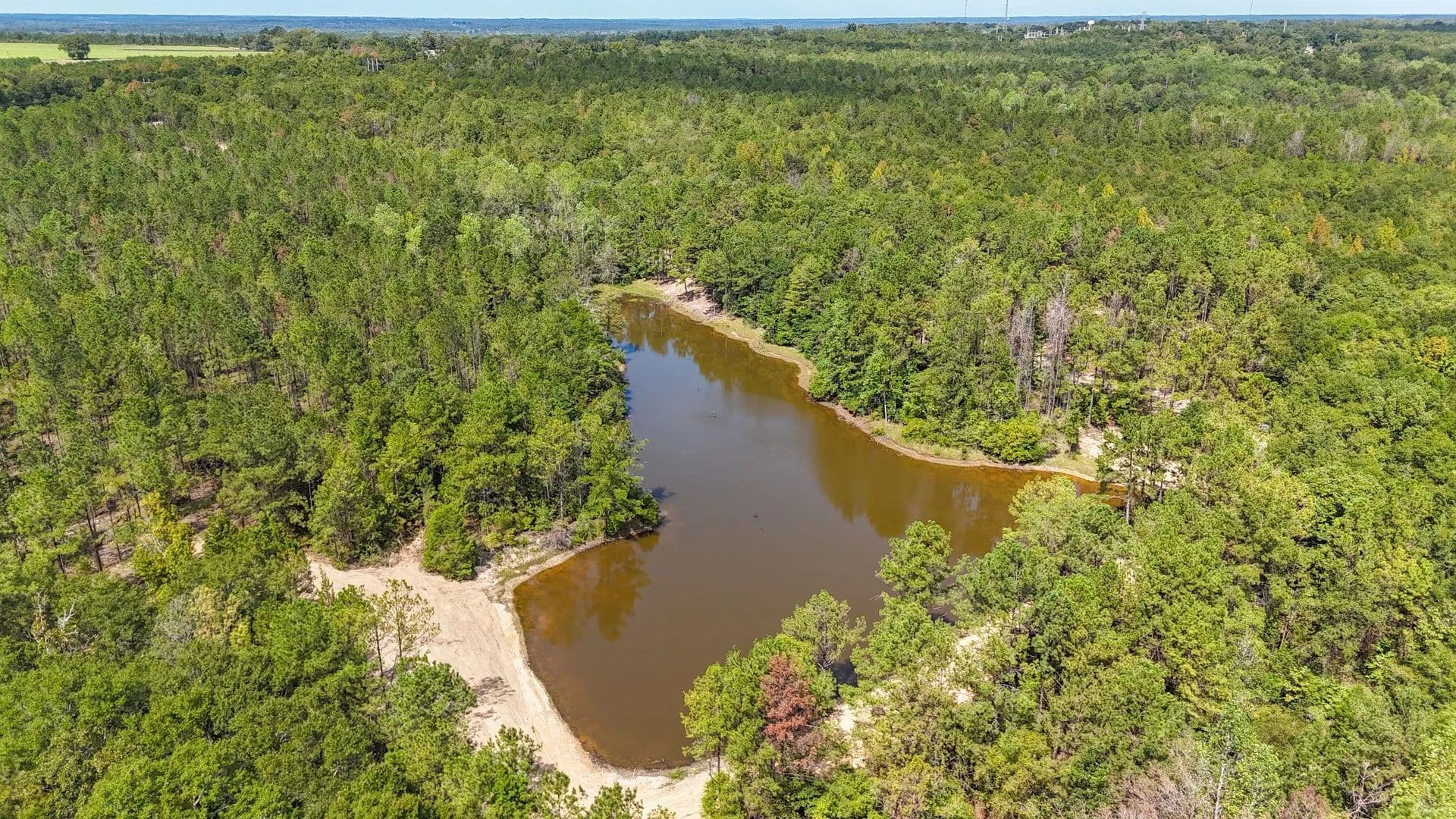 36 +/- Acres with Beautiful Pond & Excellent Hunting – Conecuh County, AL - Castleberry, Alabama, 36432