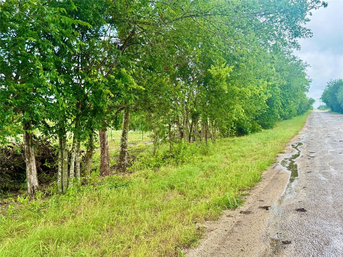 Property from 00 Engelke Road - KW - Kyle, Texas, 78640