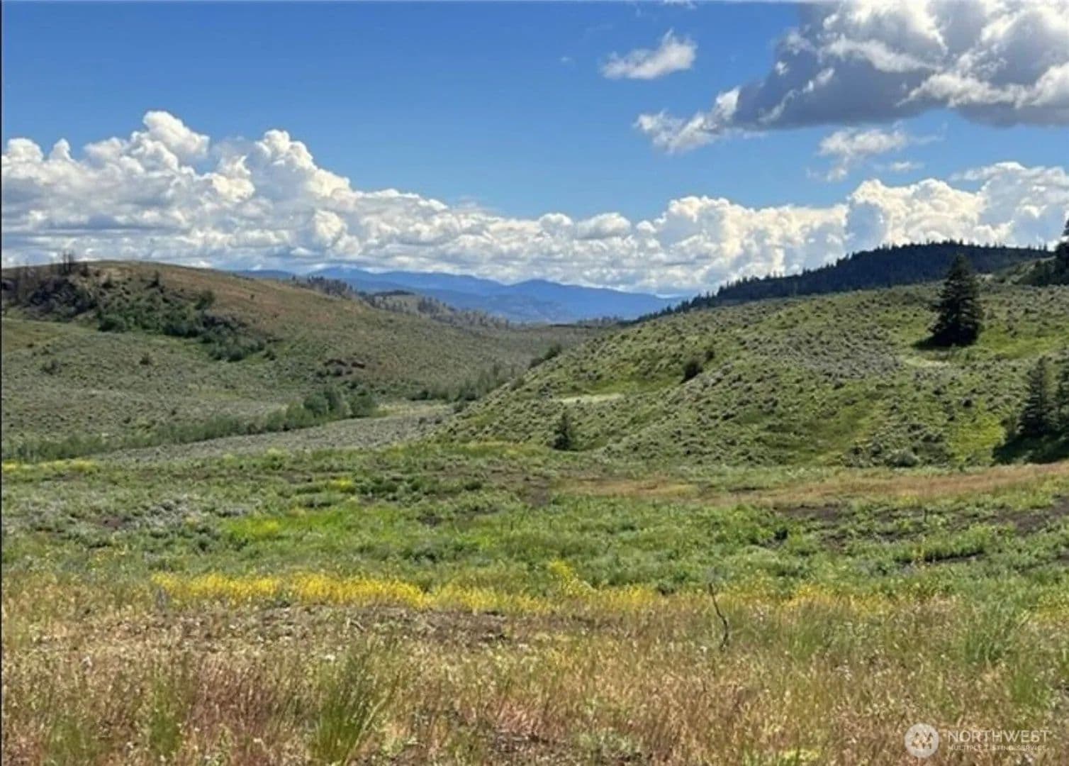 Lots & Land-Other in Oroville - Oroville, Washington, 98844