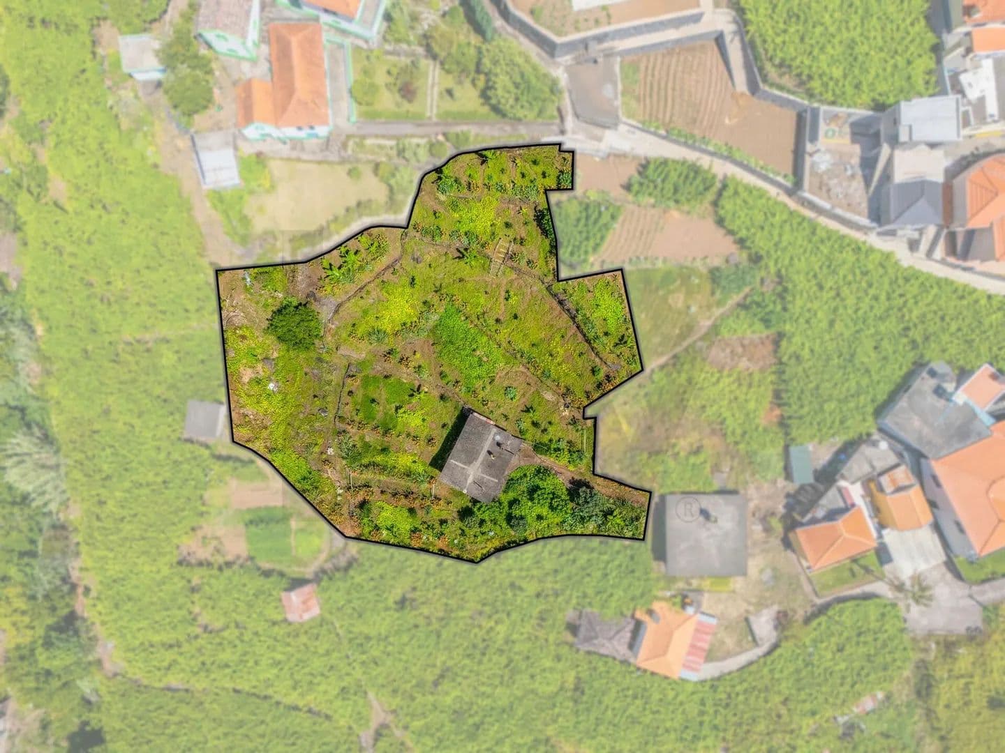 1370 Acres of Land for Sale in São Vicente, São Vicente - Portugal