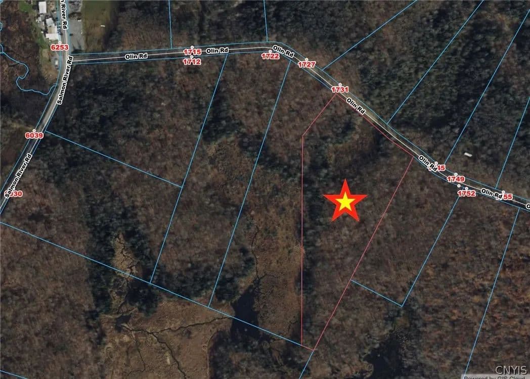 Property from Olin Road - KW - Lowville, New York, 13367