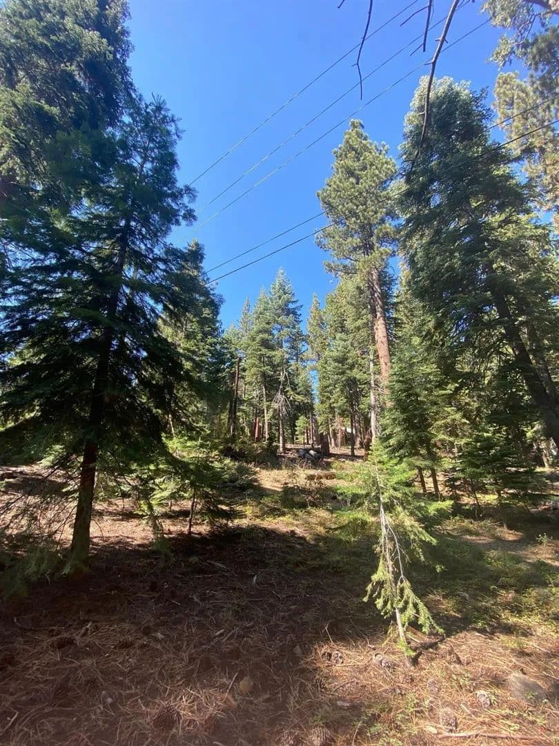 Property from 7464 Lily Avenue - KW - Tahoe Vista, California, 96148