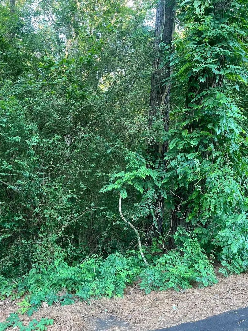 Property from Lot 33 Tanglewood II - KW - Monticello, Arkansas, 71655