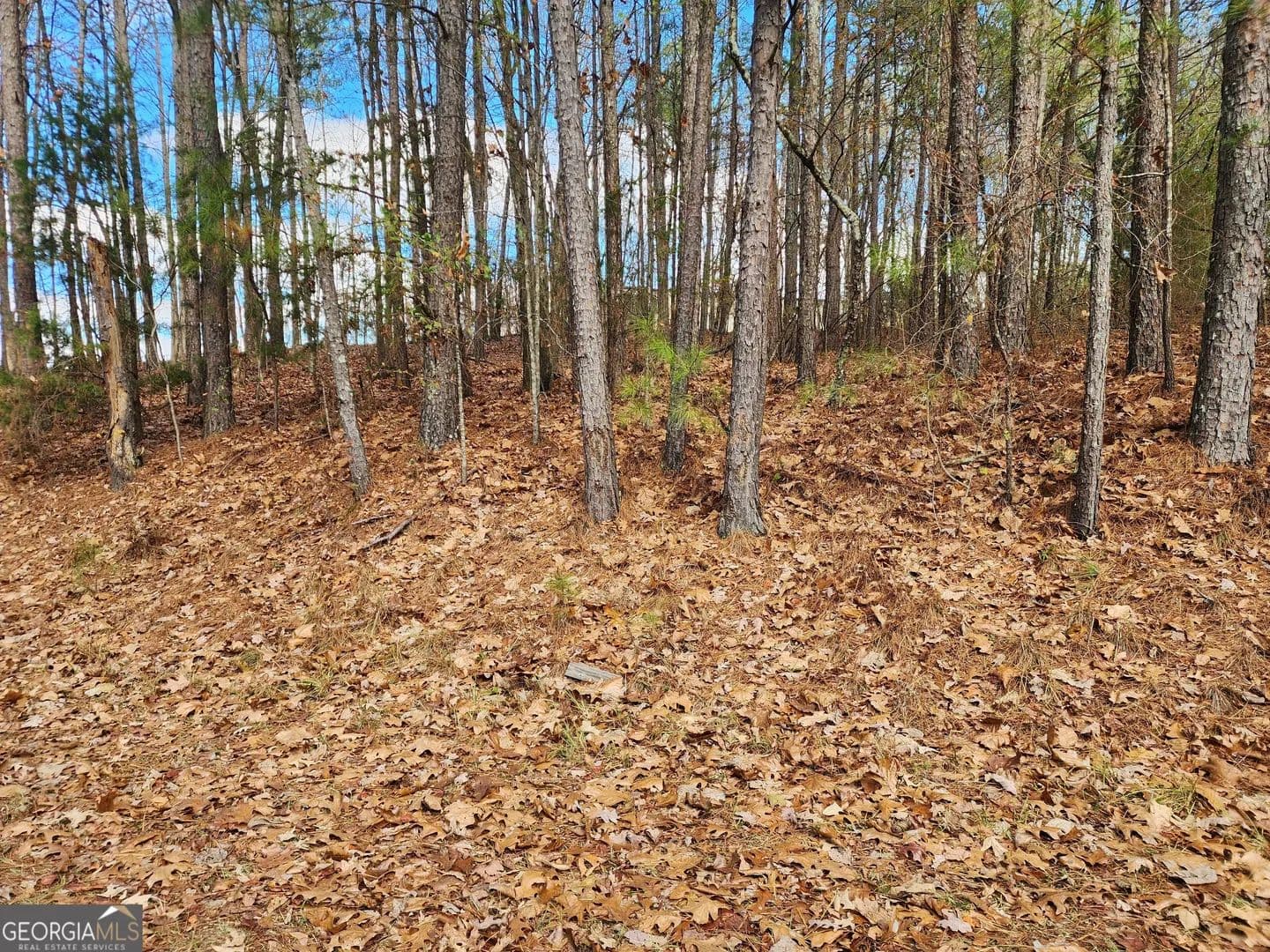 Property from 91 Cannon Ridge View - KW - Dallas, Georgia, 30132