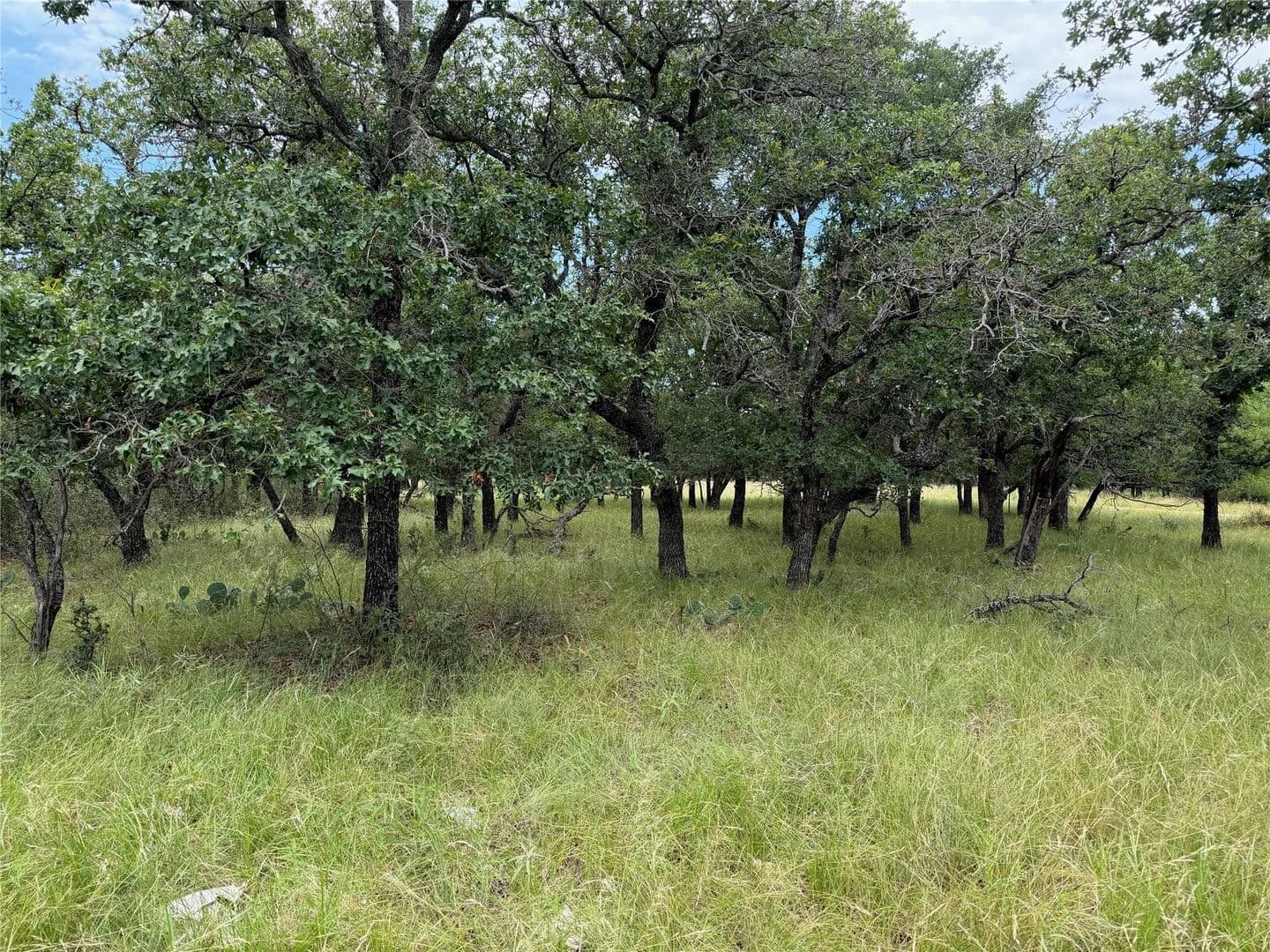 0.52 Acres of Land for Sale in May, TX - May, Texas, 76857