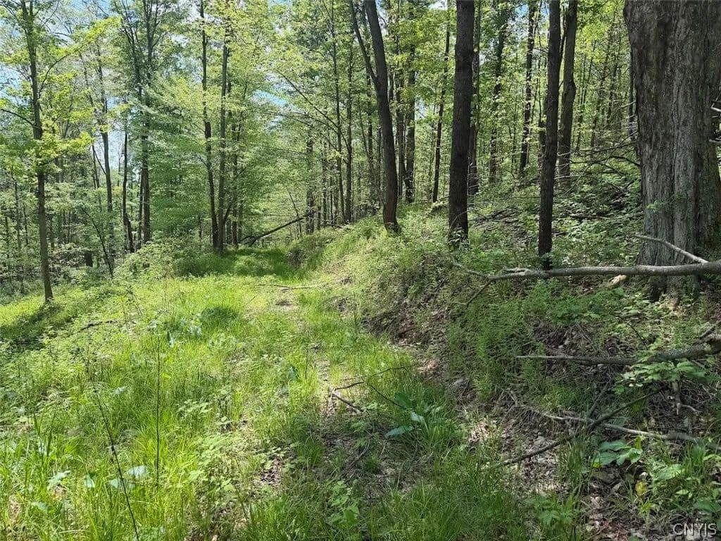 Property from Dye Road - KW - South Dayton, New York, 14138
