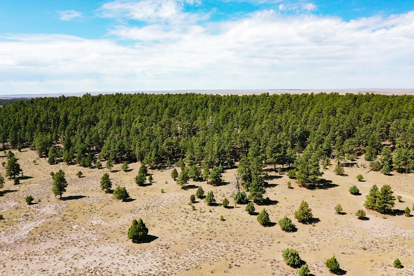 Pine Ridge lots 38-41 - land for sale
