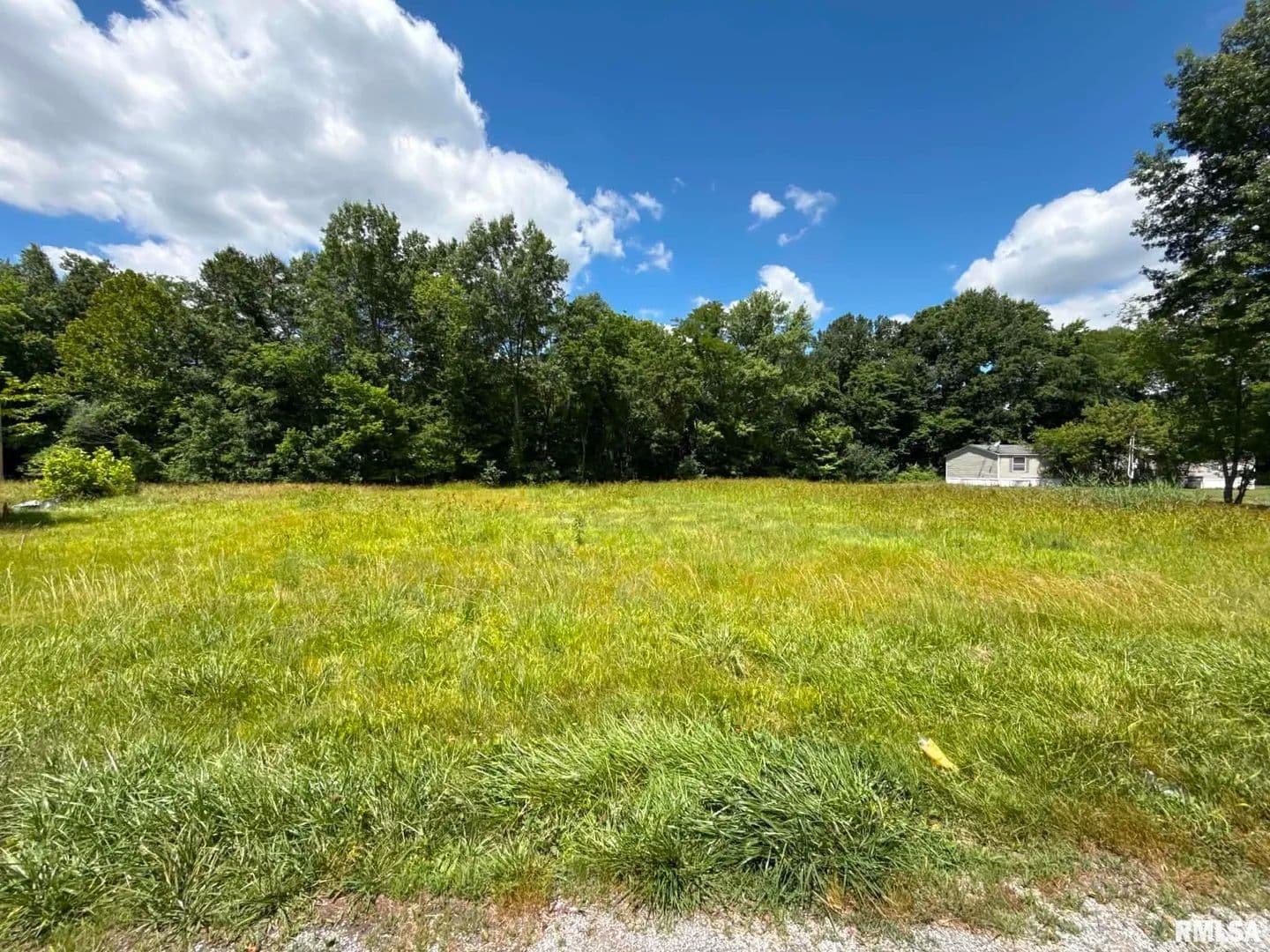 Land for Sale in Colp, Illinois - Colp, Illinois, 62921