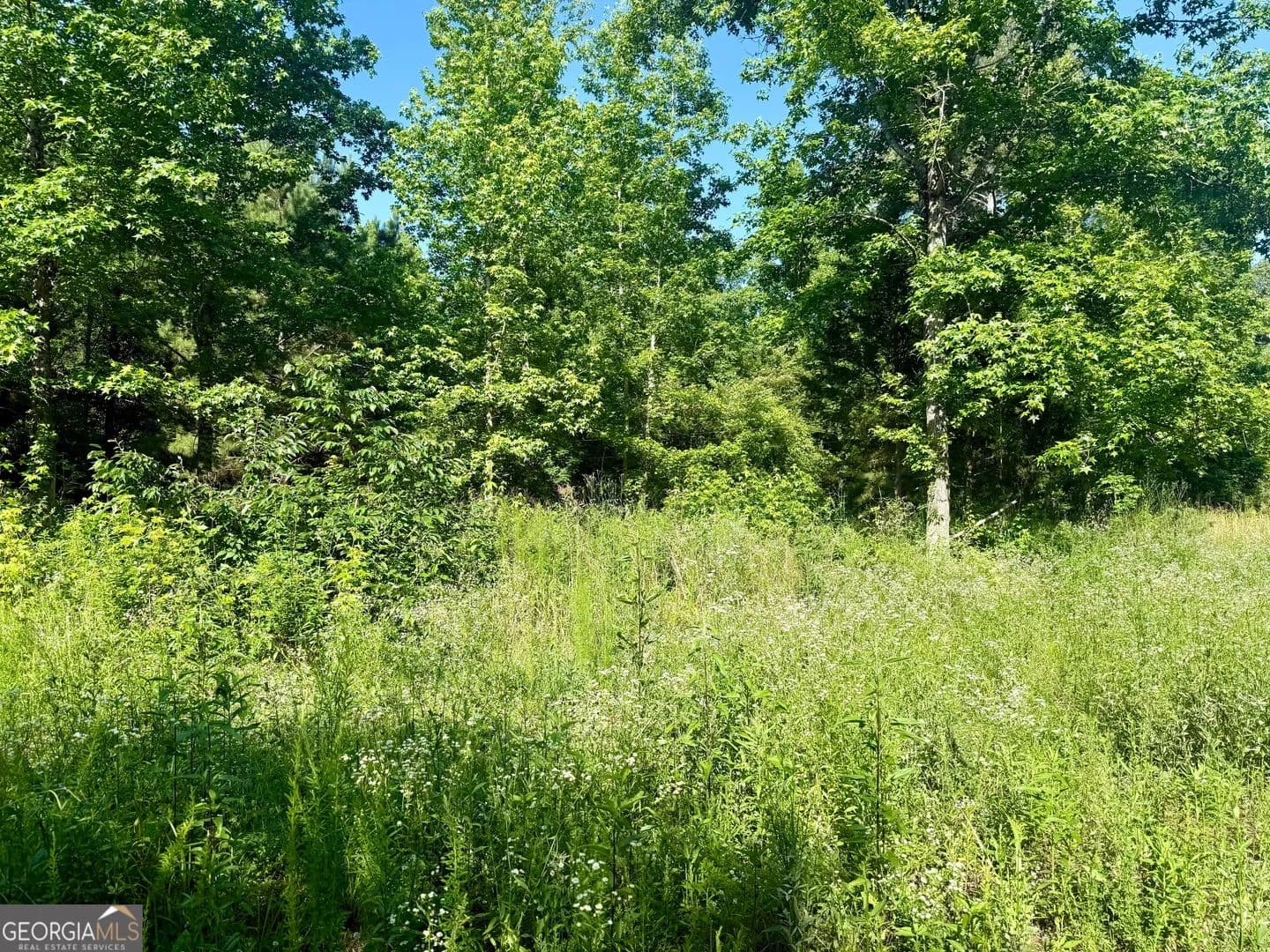 Property from 249 Weems Road - KW - Lyerly, Georgia, 30730