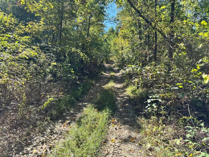 Property from 5000 Britton Branch Road - KW