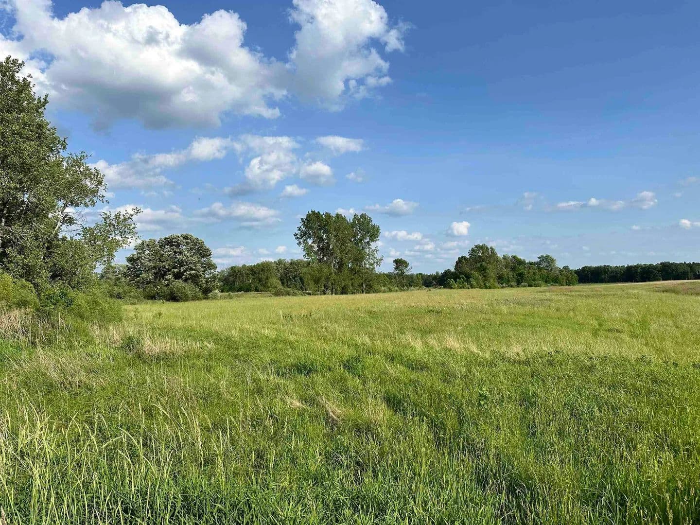 Vacant Land in Beaverton - land for sale