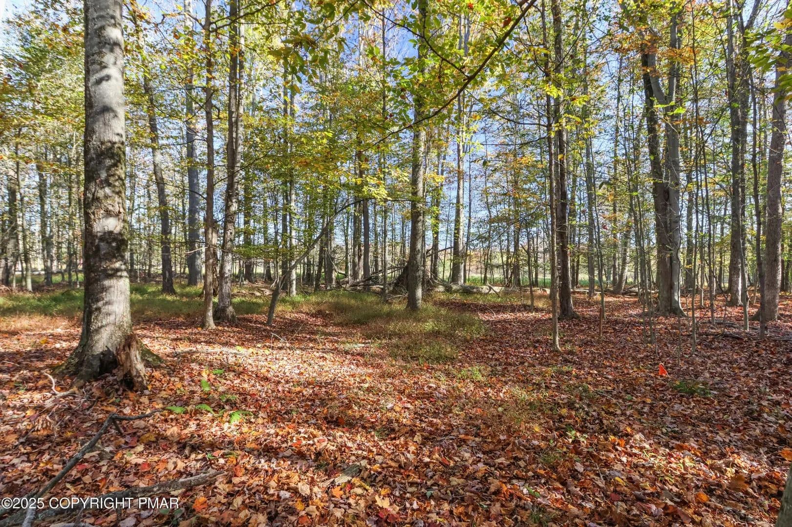 Property from Cygnus Road - KW - Lake Ariel, Pennsylvania, 18436