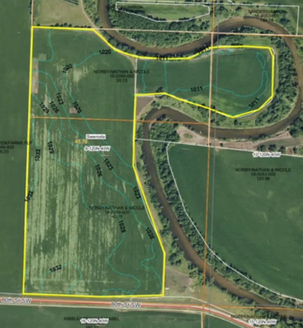 Quality farmland for sale Swift County MN - Benson, Minnesota, 56215