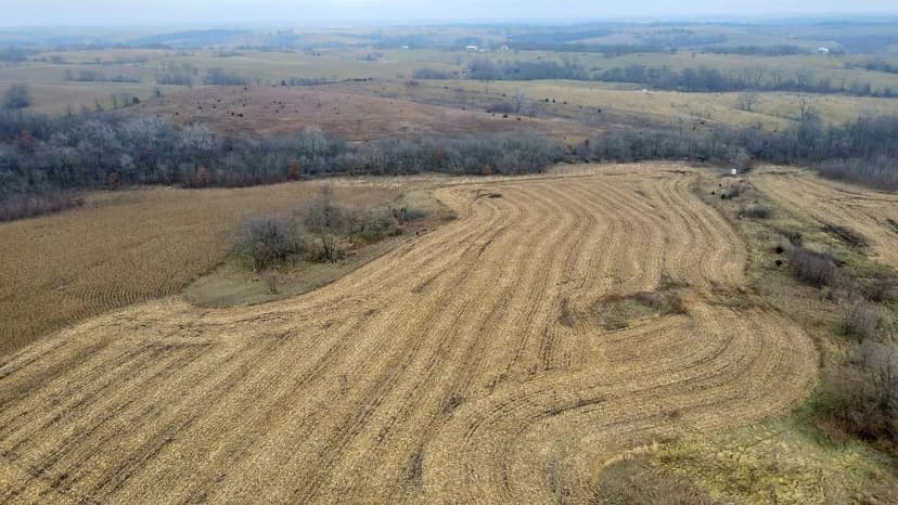 Putnam County Rowcrop/Hunting Acreage