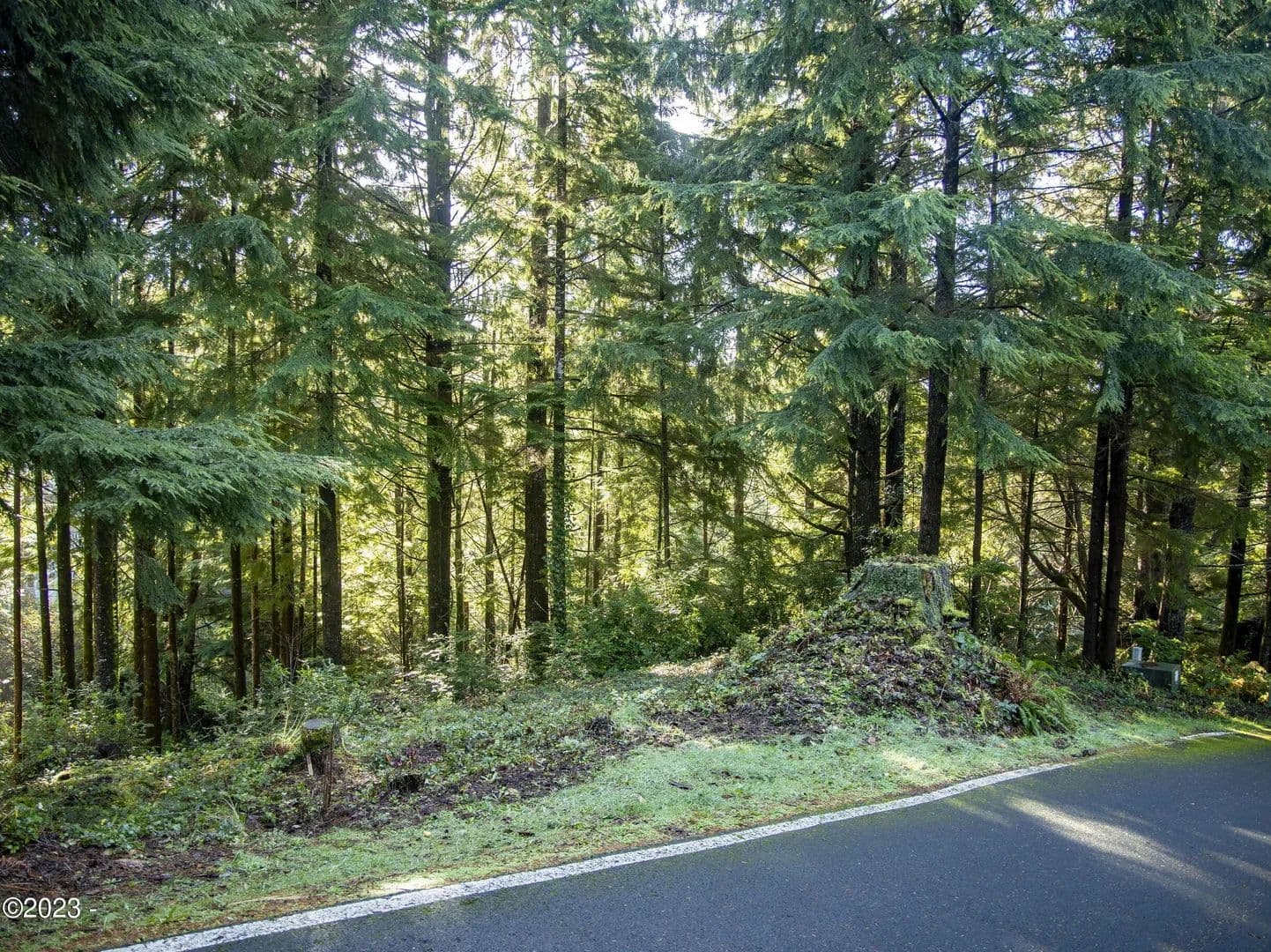 Lots & Land-Other in Gleneden Beach - Gleneden Beach, Oregon, 97388