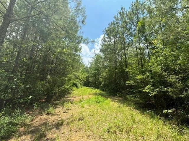 34.47 Acres of Land for Sale in Louisiana - Louisiana, 70444
