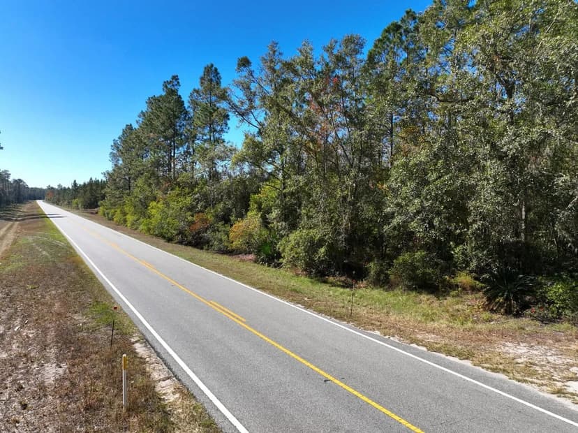 21 +/- Acres Land for Sale in Brantley County, GA