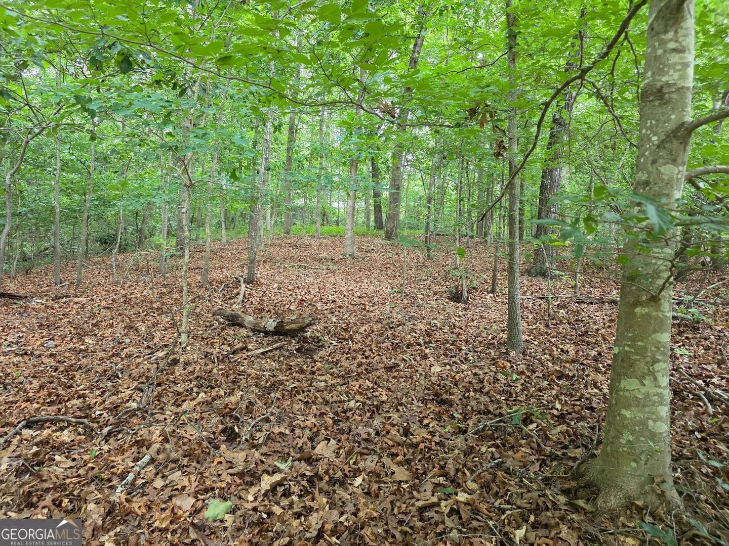 Property from LOT 270 Arrow Lane - KW - Lavonia, Georgia, 30553