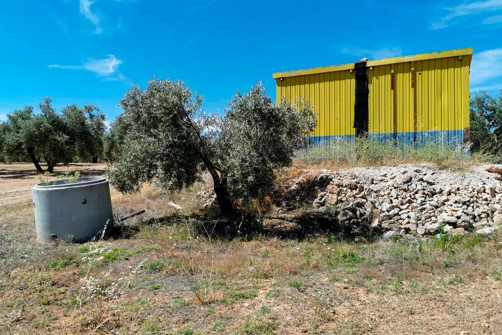 FINCA DE OLIVOS - land for sale