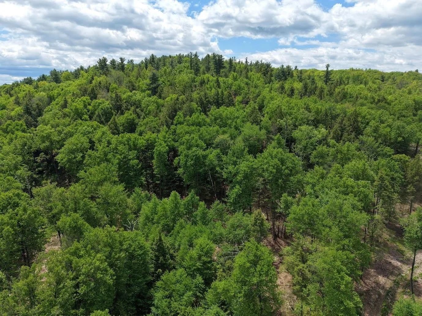 Property from Hurricane Road - KW - Westmoreland, New Hampshire, 3467