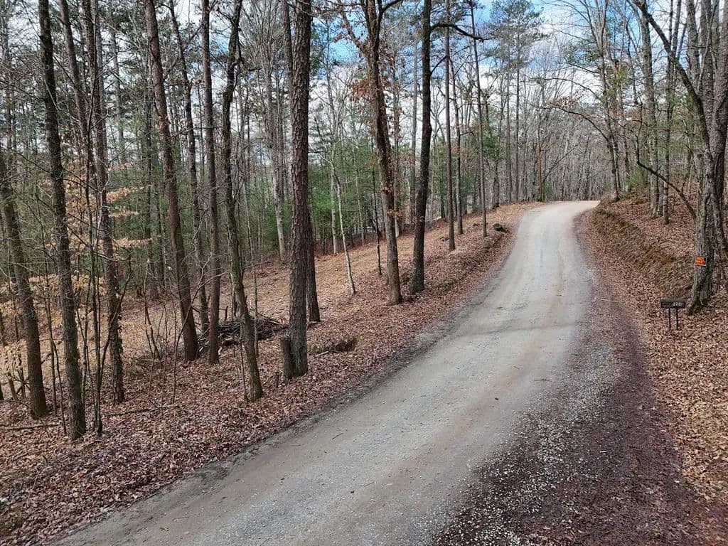 Lots & Land-Other in Mineral Bluff - Mineral Bluff, Georgia, 30559