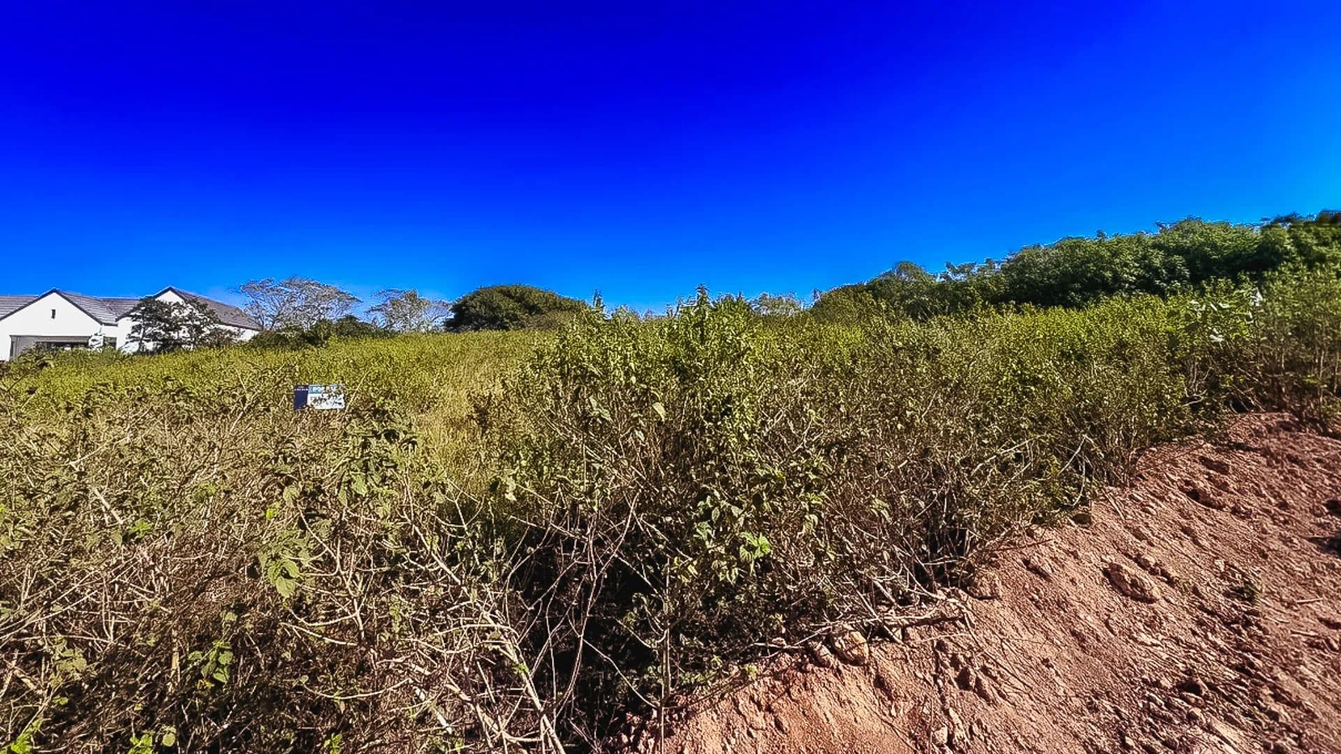 677 Acres of Land for Sale in Ballito, KwaZulu-Natal - land for sale