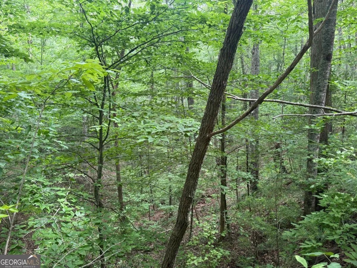 Property from 1 AC Spiva Cove Circle - KW - Blairsville, Georgia, 30512