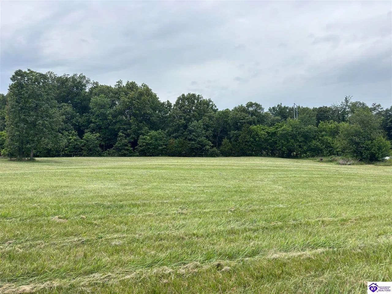 Property from 481 Sim Dowell Lane - KW - Irvington, Kentucky, 40146