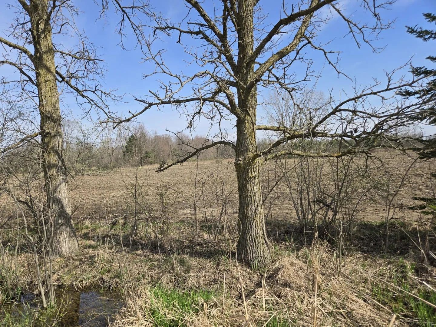 Lots & Land-Other in Richmond Twp - Michigan, 48063