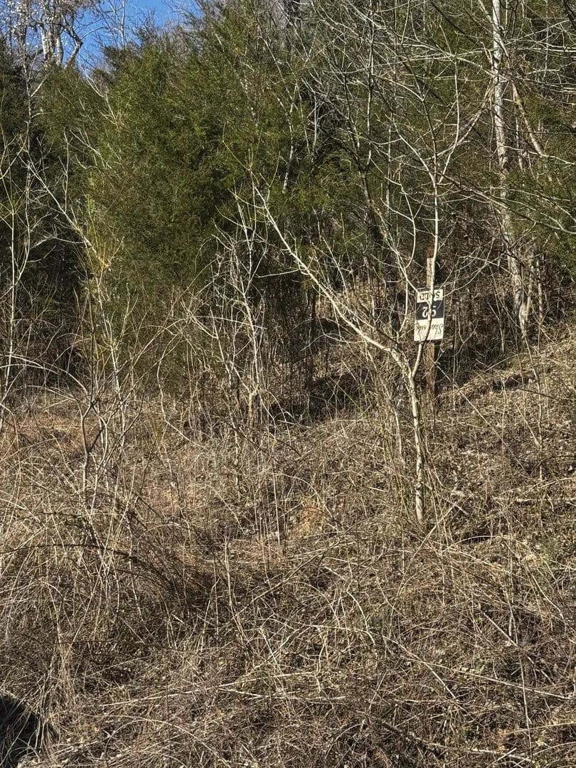 Lots & Land-Other in Smithville - Smithville, Tennessee, 37166