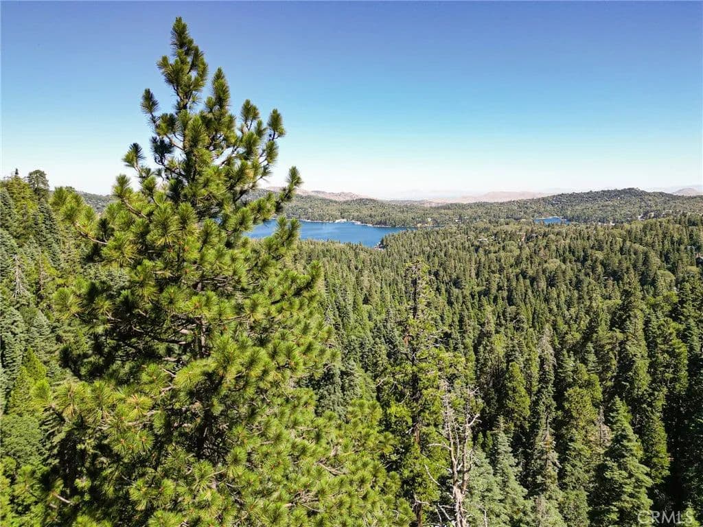 0.79 Acres of Land for Sale in Lake Arrowhead, CA - Lake Arrowhead, California, 92385