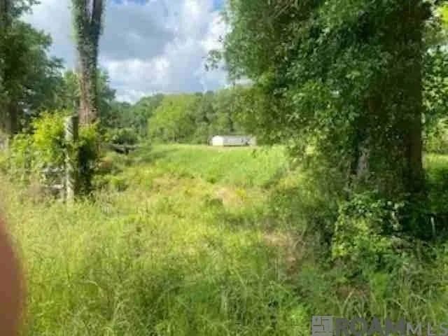 Lots & Land-Other in Pride