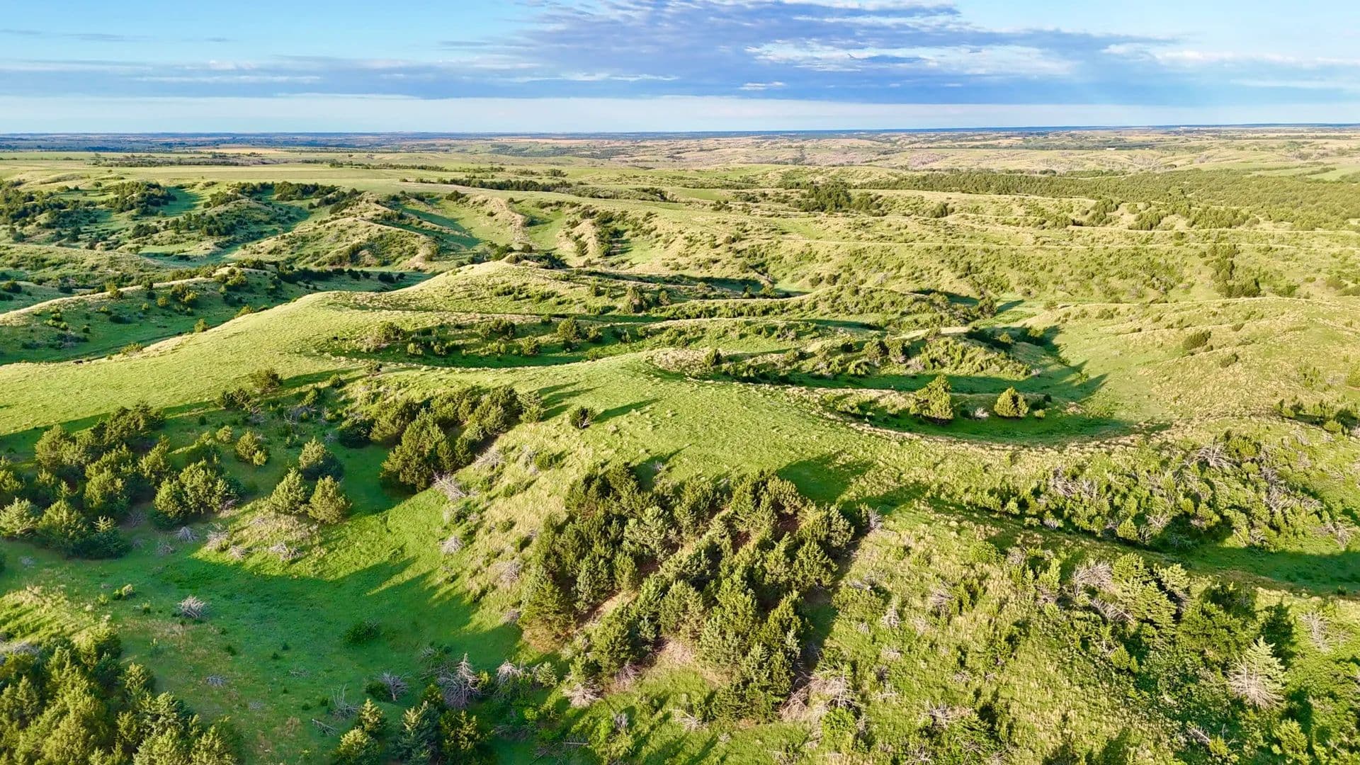 Grunden Tract 1 - Maxwell, Nebraska, 69151