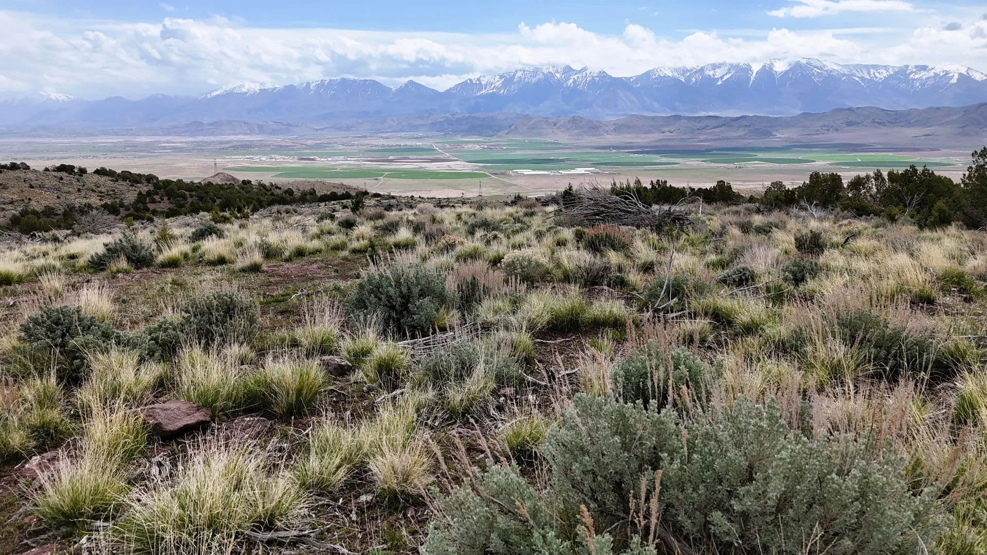 482 Acres of Land for Sale in Goshen, UT - Goshen, Utah, 84633