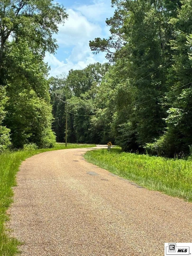 68 Acres of Land for Sale in Spearsville, Louisiana - Spearsville, Louisiana, 71277