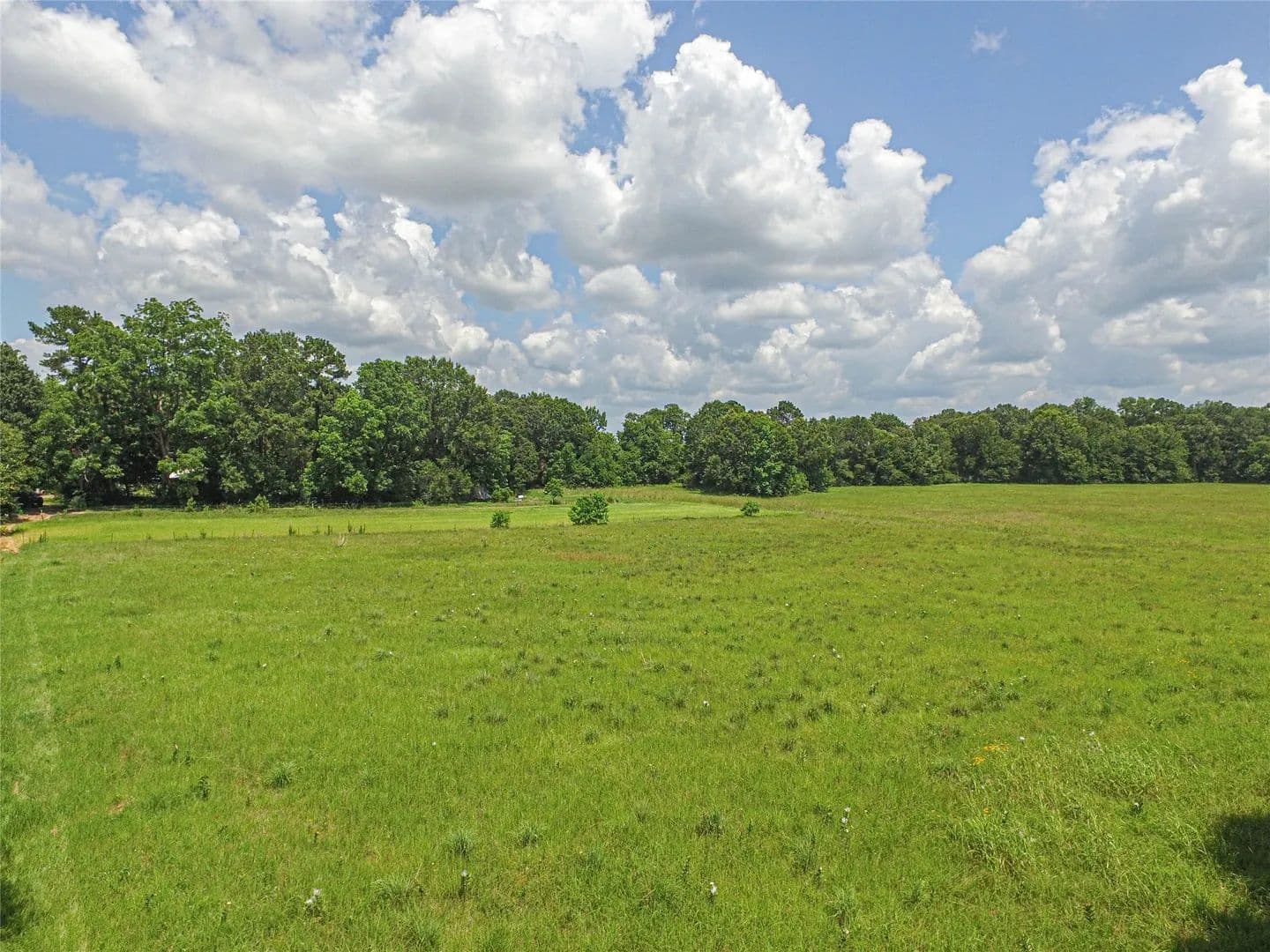 Property from TBD Fm 350 S - KW - Livingston, Texas, 77351