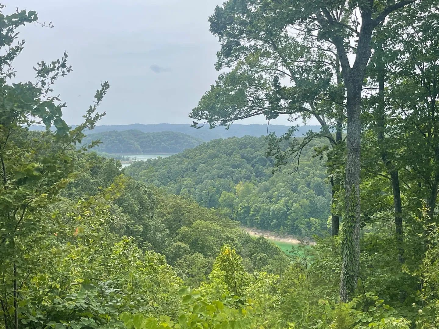 Land -Single Family Acreage in Monticello - Monticello, Kentucky, 42633